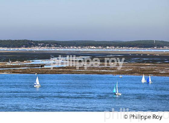 FRONT DE MER DE LA VILLE D'  ETE, ARCACHON, COTE ATLANTIQUE, GIRONDE, AQUITAINE. (33F27813.jpg)