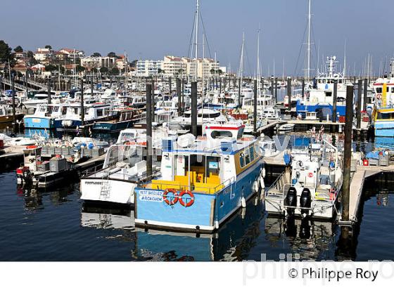 QUARTIER DES PECHEURS, PORT D' ARCACHON, COTE ATLANTIQUE, GIRONDE, AQUITAINE. (33F27931.jpg)