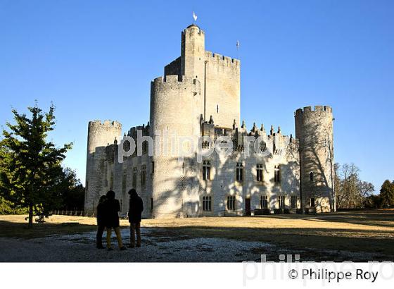 CHATEAU MEDIEVAL DE ROQUETAILLADE, MAZERES , SUD  GIRONDE. (33F29318.jpg)