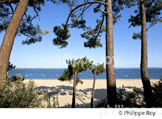PLAGE PEREIRE, ARCACHON, BASSIN D' ARCACHON, GIRONDE. (33F30522.jpg)