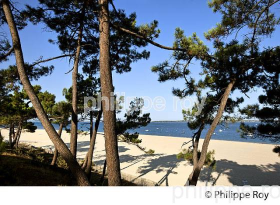 PLAGE PEREIRE, ARCACHON, BASSIN D' ARCACHON, GIRONDE. (33F30523.jpg)