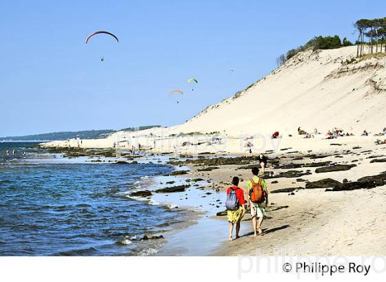 PLAGE DU PETIT NICE, PARAPENTE , DUNE DU PILAT, BASSIN D' ARCACHON, GIRONDE. (33F30605.jpg)