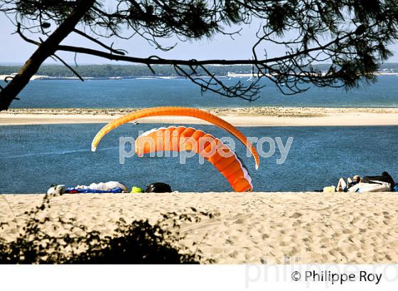 VOL EN PARAPENTE , DEPUIS LA DUNE DU PILAT, BASSIN D' ARCACHON, GIRONDE. (33F30615.jpg)