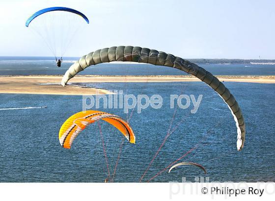 VOL EN PARAPENTE , DEPUIS LA DUNE DU PILAT, BASSIN D' ARCACHON, GIRONDE. (33F30636.jpg)