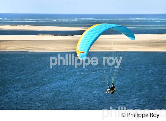 VOL EN PARAPENTE , DEPUIS LA DUNE DU PILAT, BASSIN D' ARCACHON, GIRONDE. (33F30722.jpg)