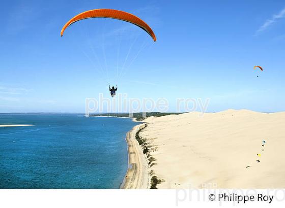 VOL EN PARAPENTE , DEPUIS LA DUNE DU PILAT, BASSIN D' ARCACHON, GIRONDE. (33F30903.jpg)