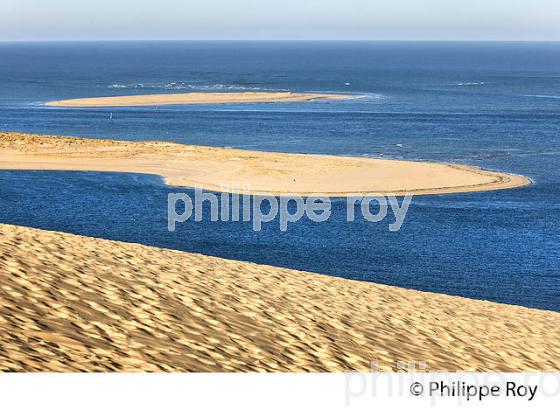 DUNE DU PILAT, LE BANC D' ARGUIN ET PASSES DU  BASSIN D' ARCACHON   GIRONDE. (33F31001.jpg)