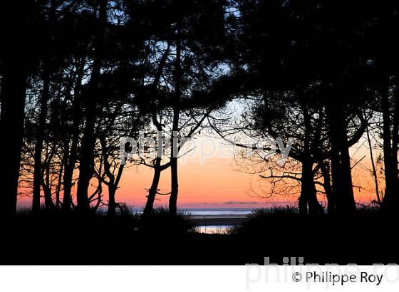 CREPUSCULE, PLAGE DU PETIT NICE, LATESTE DE BUCH, BASSIN D' ARCACHON, GIRONDE. (33F31211.jpg)