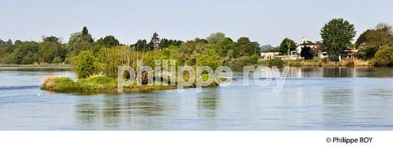 LES BERGES DE LA DORDOGNE A VIGNONET, JURIDICTION DE SAINT-EMILION, GIRONDE. (33F31814.jpg)
