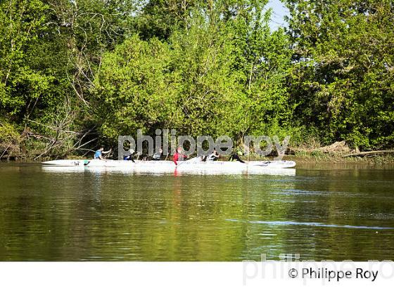 CANOE SUR LA DORDOGNE A VIGNONET, JURIDICTION DE SAINT-EMILION, GIRONDE. (33F31824.jpg)