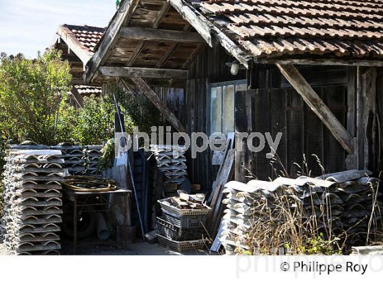 CABANE, PORT OSTREICOLE DE GUJAN-MESTRAS, BASSIN D' ARCACHON, GIRONDE. (33F32323.jpg)