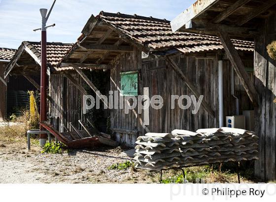 CABANE, PORT OSTREICOLE DE GUJAN-MESTRAS, BASSIN D' ARCACHON, GIRONDE. (33F32324.jpg)
