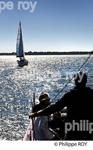 VOILIER ET POINTE DU CAP FERRET , BASSIN D' ARCACHON, GIRONDE. (33F32420.jpg)