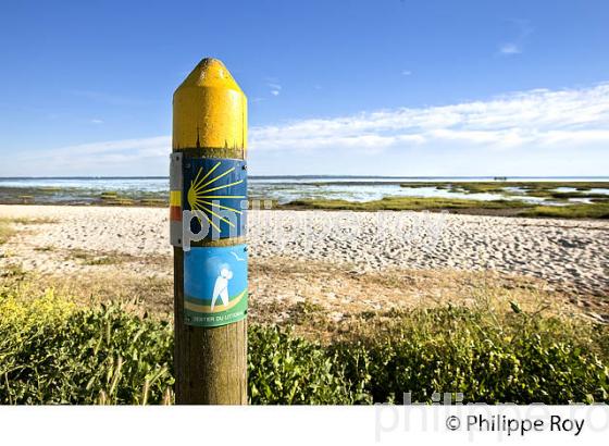 BALISE, CHEMIN DE RANDONNEE, SENTIER DU LITTORAL, BASSIN D' ARCACHON, GIRONDE. (33F32629.jpg)