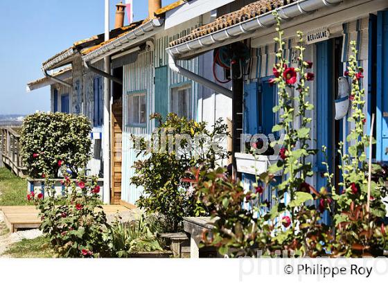 CABANE  D' OSTREICULTEUR, PORT OSTREICOLE   DE AUDENGE,  BASSIN D' ARCACHON, GIRONDE. (33F32824.jpg)