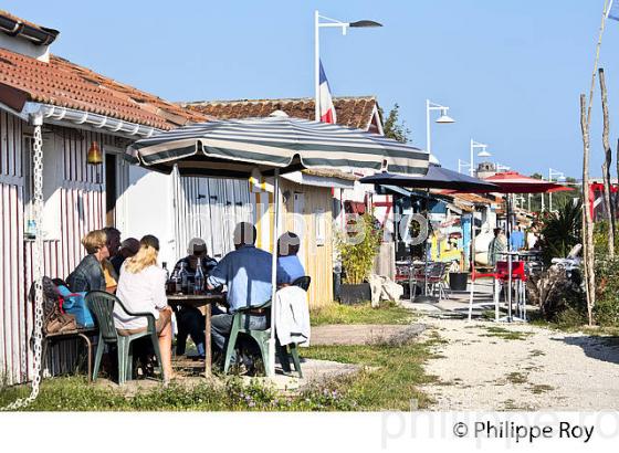 CABANE  D' OSTREICULTEUR, PORT OSTREICOLE   DE AUDENGE,  BASSIN D' ARCACHON, GIRONDE. (33F32826.jpg)