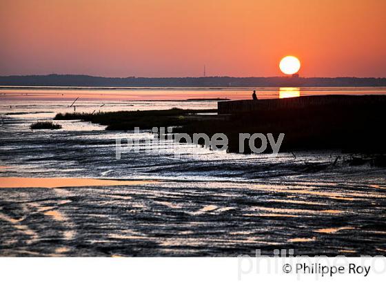 COUCHER DE SOLEIL, MAREE BASSE, PORT DE AUDENGE,  BASSIN D' ARCACHON, GIRONDE. (33F32830.jpg)