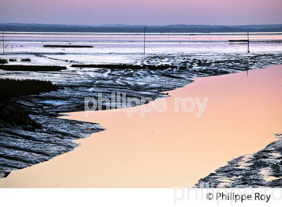 COUCHER DE SOLEIL, MAREE BASSE, PORT DE AUDENGE,  BASSIN D' ARCACHON, GIRONDE. (33F32833.jpg)