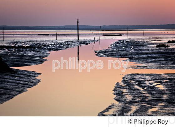 COUCHER DE SOLEIL, MAREE BASSE, PORT DE AUDENGE,  BASSIN D' ARCACHON, GIRONDE. (33F32834.jpg)