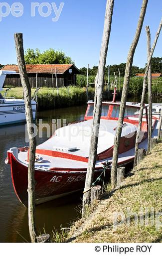 PINASSE, PORT DES TUILES,  BIGANOS, DELTA DE LA LEYRE, BASSIN D' ARCACHON, GIRONDE. (33F32920.jpg)