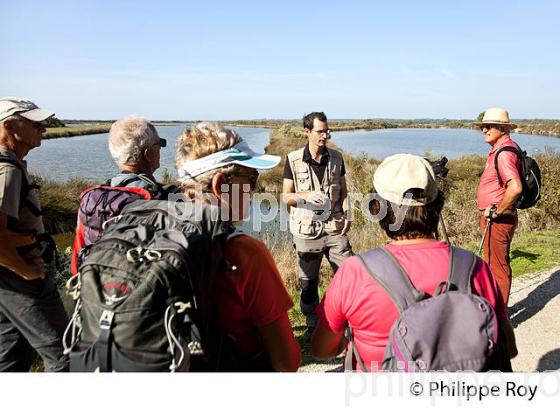 GUIDE ORNITHOLOGIQUE,  RESERVE NATURELLE DU DOMAINE DE CERTES ET GRAVEYRON, AUDENGE , BASSIN D' ARCACHON, GIRONDE. (33F33005.jpg)