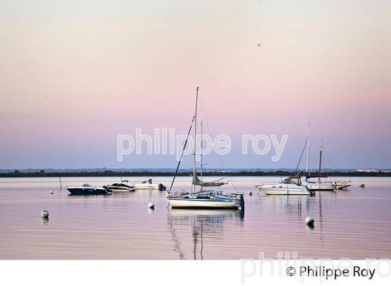 LEVER DU JOUR, PLAGE  DE CASSY, COMMUNE DE  LANTON, BASSIN D' ARCACHON, GIRONDE. (33F33338.jpg)