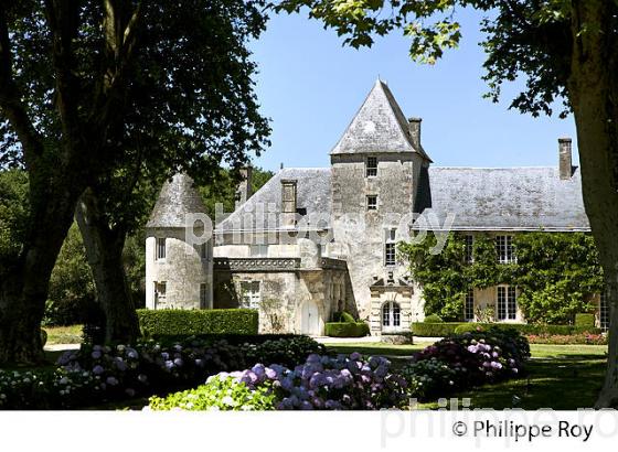 LE CHATEAU DE RUAT , LE TEICH , BASSIN D' ARCACHON, GIRONDE. (33F33427.jpg)