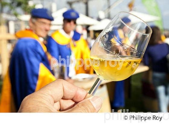 DEGUSTATION  DE VIN , FETE DU VIN , BORDEAUX , GIRONDE. (33F33712.jpg)