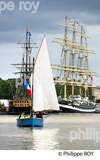 RASSEMBLEMENT  DE GRANDS VOILIERS DANS  LE PORT DE LA LUNE,  VILLE DE  BORDEAUX FETE LE VIN. (33F33828.jpg)