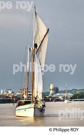 L' ARWAK, KETCH AURIQUE,  A LA VOILE SUR LA GARONNE, PORT DE LA LUNE,    BORDEAUX. (33F34413.jpg)