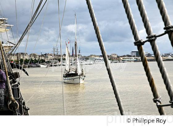 L' ARWAK, KETCH AURIQUE,  A LA VOILE SUR LA GARONNE, PORT DE LA LUNE,    BORDEAUX. (33F34417.jpg)
