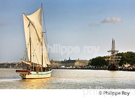 L' ARWAK, KETCH AURIQUE,  A LA VOILE SUR LA GARONNE, PORT DE LA LUNE,    BORDEAUX. (33F34422.jpg)