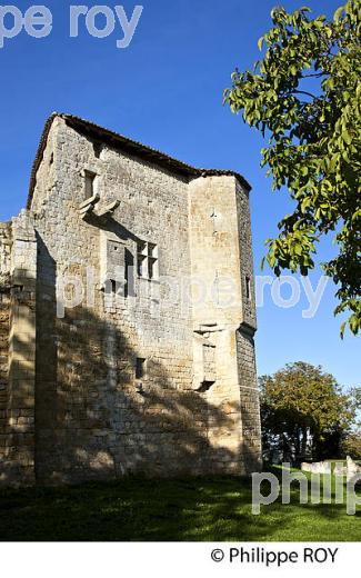 CHATEAU MEDIEVAL ,  VILLAGE FORTIFIE   DE PUJOLS, ENTRE DEUX MERS, GIRONDE. (33F35311.jpg)