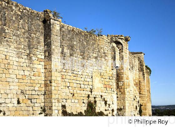 CHATEAU MEDIEVAL ,  VILLAGE FORTIFIE   DE PUJOLS, ENTRE DEUX MERS, GIRONDE. (33F35316.jpg)