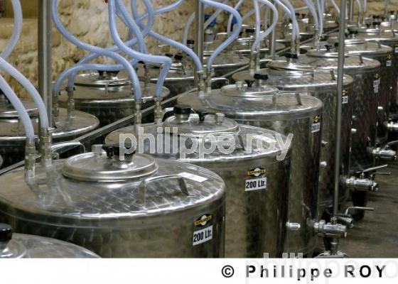 Vinification (33V15034.jpg)