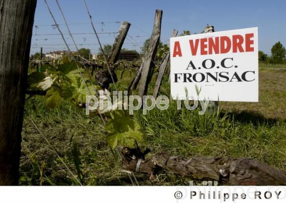 Vignoble Bordelais (33V15111.jpg)