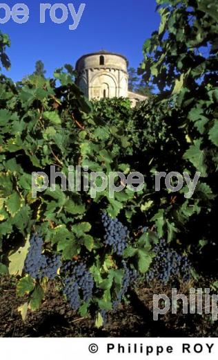 Patrimoine et vignoble (33V18534.jpg)