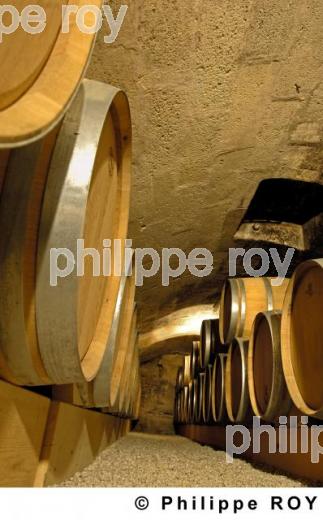 Le Vignoble Bordelais (33V20316.jpg)