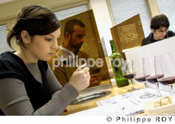 Oenologie - Vin de Bordeaux (33V21439.jpg)
