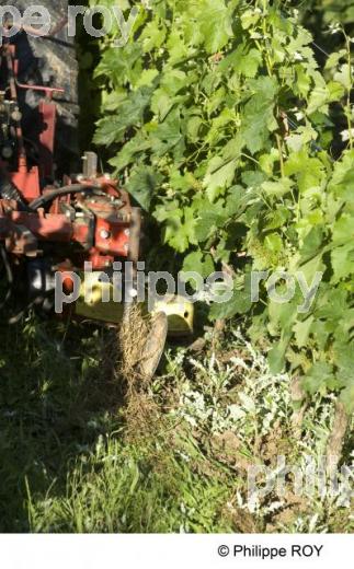 Traitement de la vigne (33V22015.jpg)