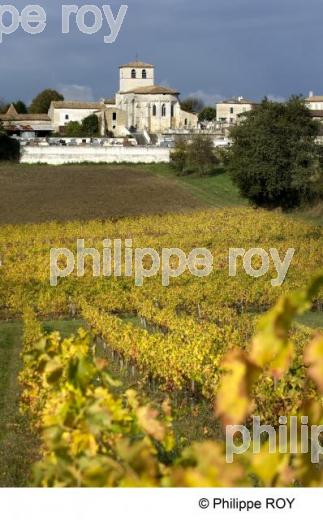Patrimoine et vignoble (33V22420.jpg)