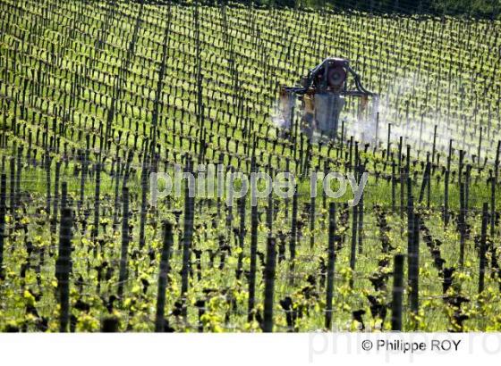 Traitement de la vigne - Vignoble bordelais (33V23333.jpg)