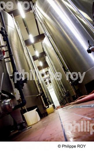 Filtration sur terre - Vignoble Bordelais (33V29339.jpg)