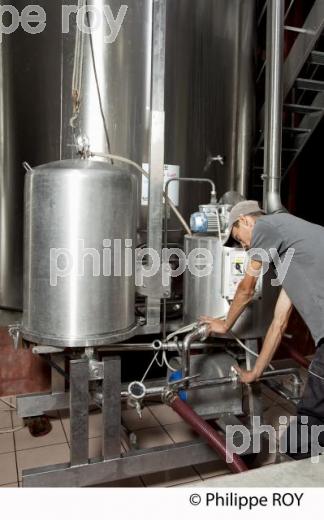 Vinification, Vins de Bordeaux, Filtration (33V31103.jpg)