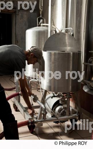 Vinification, Vins de Bordeaux, Filtration (33V31106.jpg)