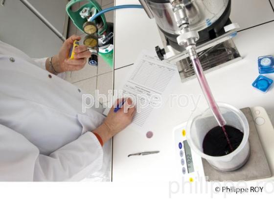 Microfiltration - Labo Oenologie - Soussac (33V31703.jpg)