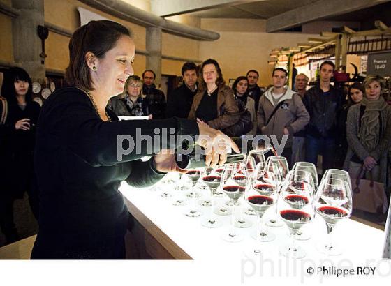 CHATEAU PRIEURE LICHINE, VIN DE MARGAUX, GIRONDE (33V32713.jpg)