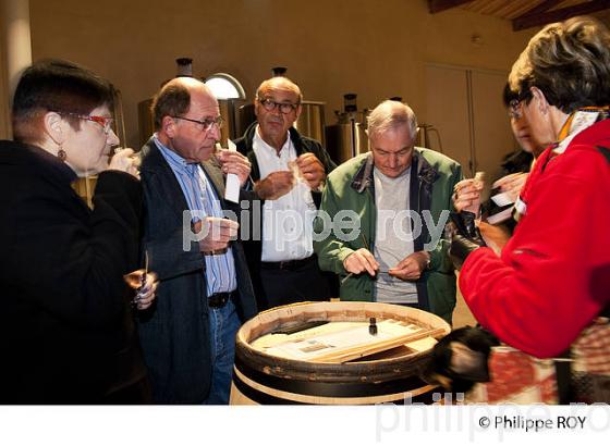 CHATEAU DU TERTRE, VIN DE MARGAUX, GIRONDE (33V32720.jpg)