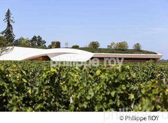 CHATEAU CHEVAL BLANC, VIN DE SAINT EMILION, GIRONDE (33V33125.jpg)