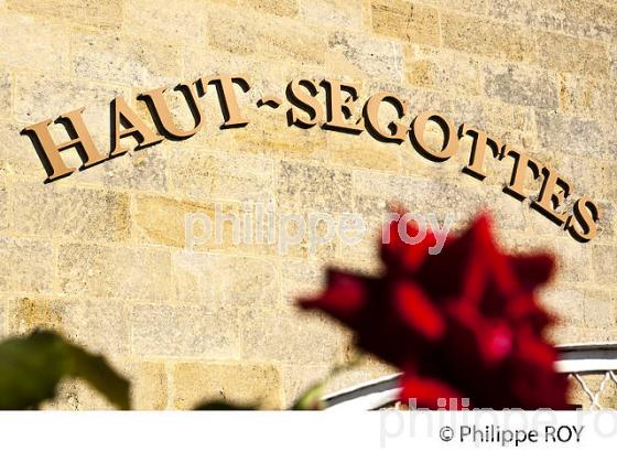 CHATEAU HAUT SEGOTTES, VIN DE SAINT EMILION, GIRONDE (33V33134.jpg)